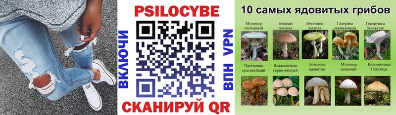 Галлюциногенные грибы GOLDEN TEACHER  где купить наркоту  Брюховецкая 